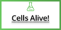 Cells Alive